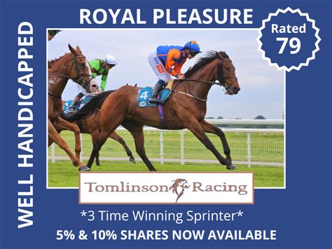 Horse Racing Hub .